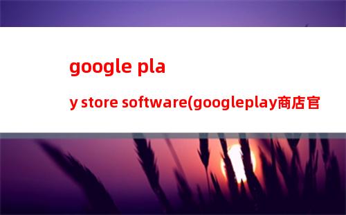 google play store software(googleplay商店官网下载地址)
